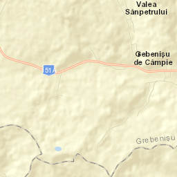 Grebenișu de Câmpie Street Map
