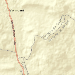 Voiniceni Street Map