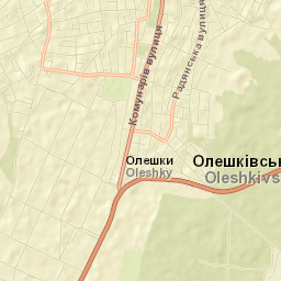 Tsyurupyns’k Street Map