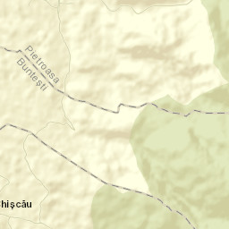 Pietroasa Street Map