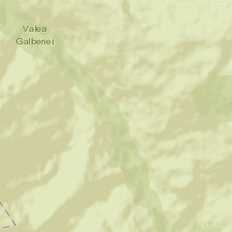 Comuna Pietroasa Street Map