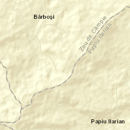 Papiu Ilarian Street Map