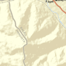 Făget Street Map