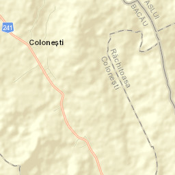 Coloneşti Street Map