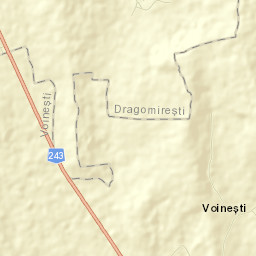 Voineşti Street Map