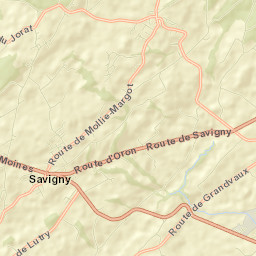Savigny Street Map
