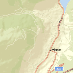 Livigno Street Map