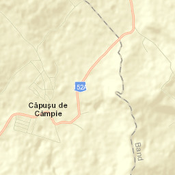 Căpușu de Câmpie Street Map