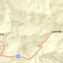 Sânișor Street Map