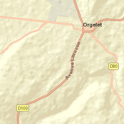 Orgelet Street Map