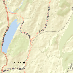 Puidoux Street Map