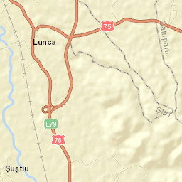 Lunca Street Map