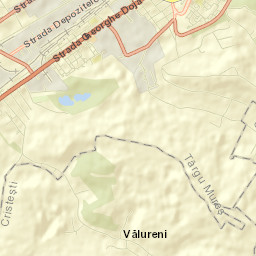 Mureșeni Street Map