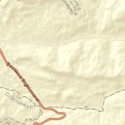 Corunca Street Map