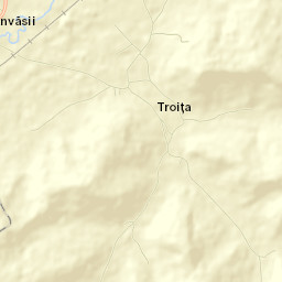 Troița Street Map