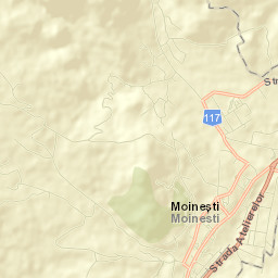 Moineşti Street Map