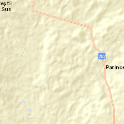 Parincea Street Map