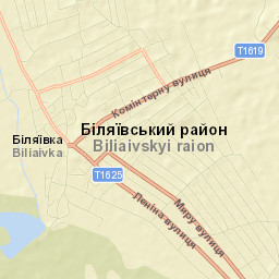Bilyayivka Street Map