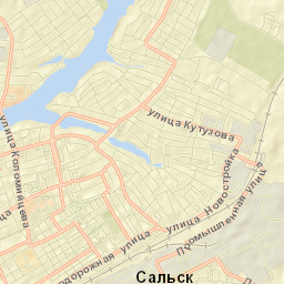 Sal’sk Street Map
