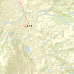 Lenk Street Map