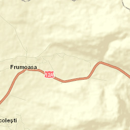 Nicolești Street Map