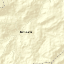 Turluianu Street Map