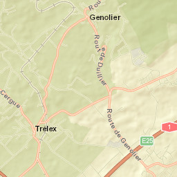 Trélex Street Map