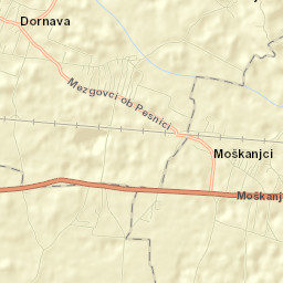 Dornava Street Map