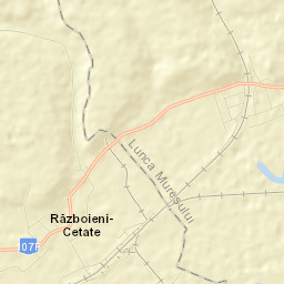 Lunca Mureşului Street Map