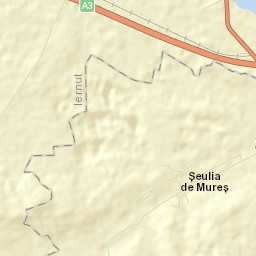 Șeulia de Mureș Street Map