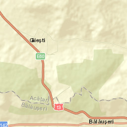 Găiești Street Map