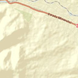 Asău Street Map