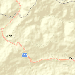 Comuna Berzunţi Street Map