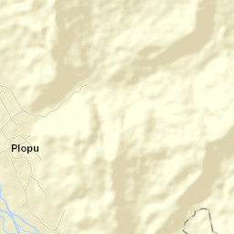 Plopu Street Map