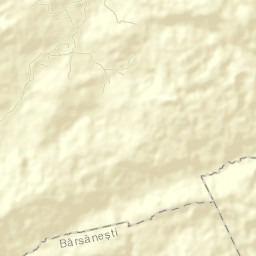 Berzunţi Street Map