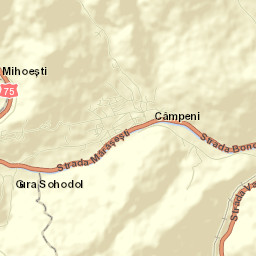 Câmpeni Street Map
