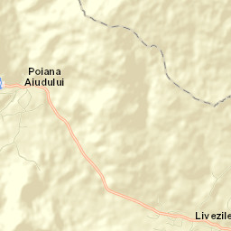 Livezile Street Map