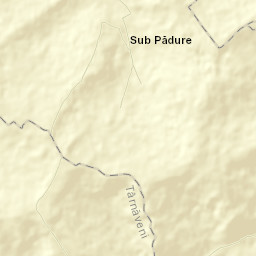 Sub Pădure Street Map