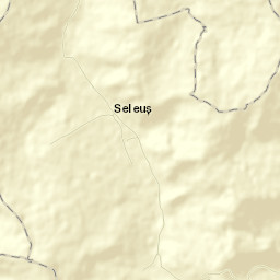 Seleuș Street Map