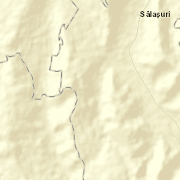 Sălașuri Street Map