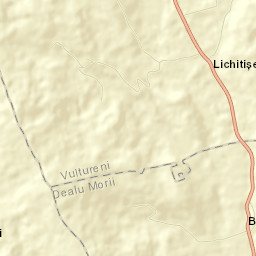 Vultureni Street Map