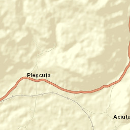 Pleşcuţa Street Map