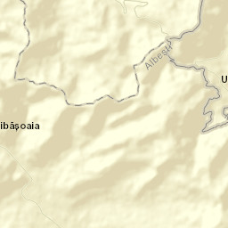Bârlibășoaia Street Map