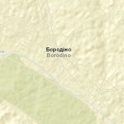 Borodino Street Map