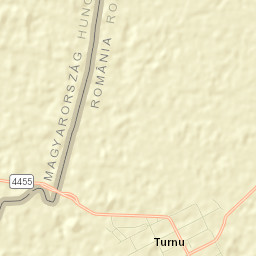 Turnu Street Map