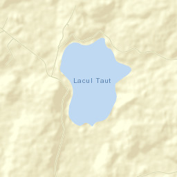 Comuna Tauţ Street Map