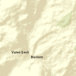 Bucium Street Map