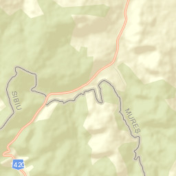 Viișoara Street Map