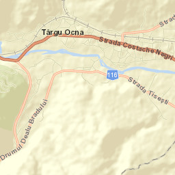 Târgu Ocna Street Map