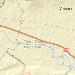 Târgu Trotuş Street Map